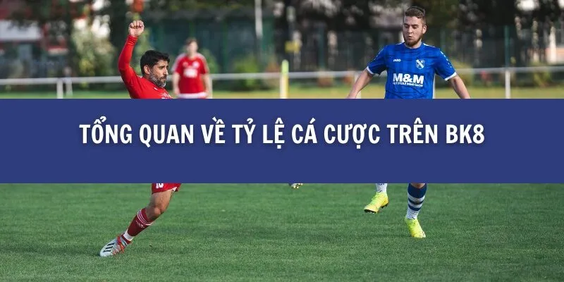 Cập Nhật Tỷ Lệ Cá Cược Mới Nhất Trên BK8